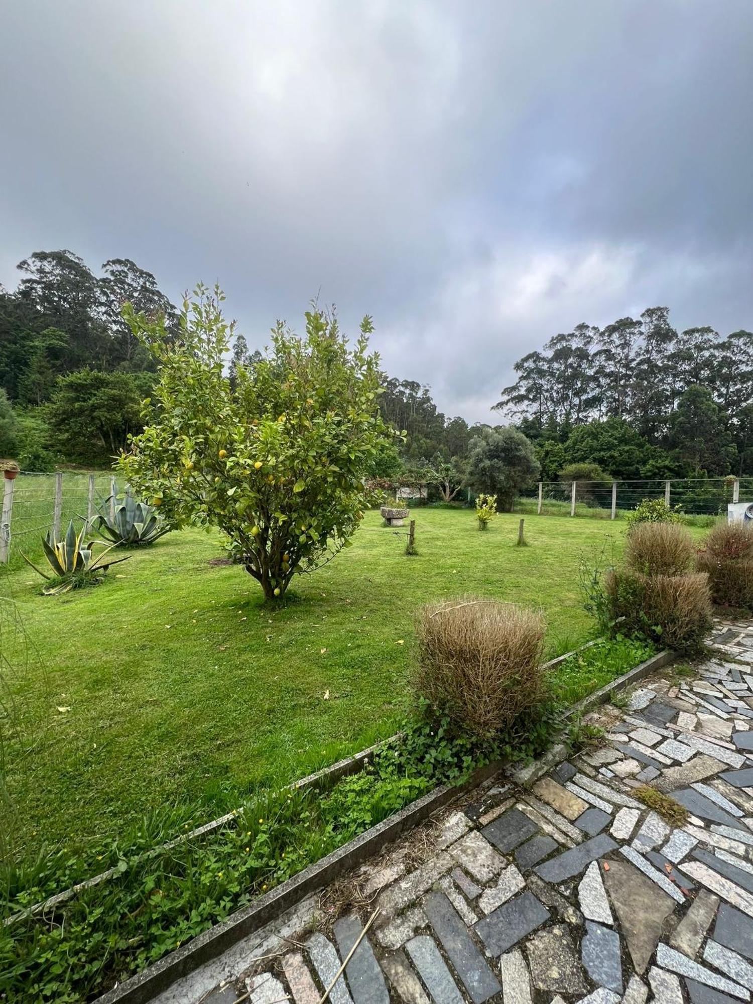 Casa De Campo Adosada 2 Viveiro Exteriér fotografie